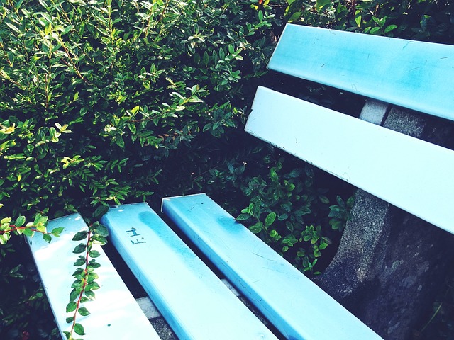 战术灵活性 战术灵活性