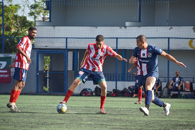 各具特色 各具特色