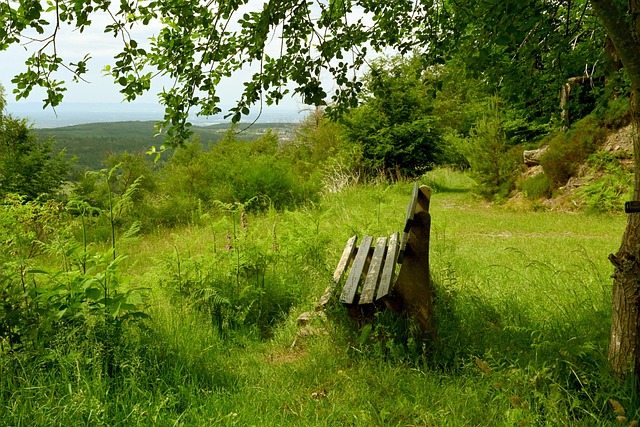 后场即可展 后场即可展