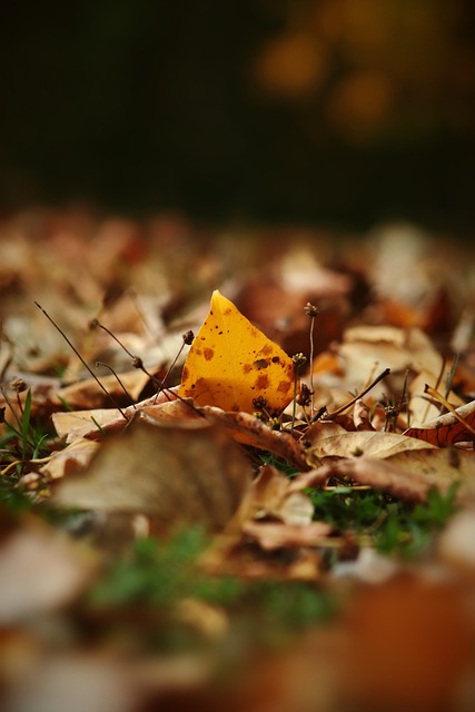 意味着球队 意味着球队