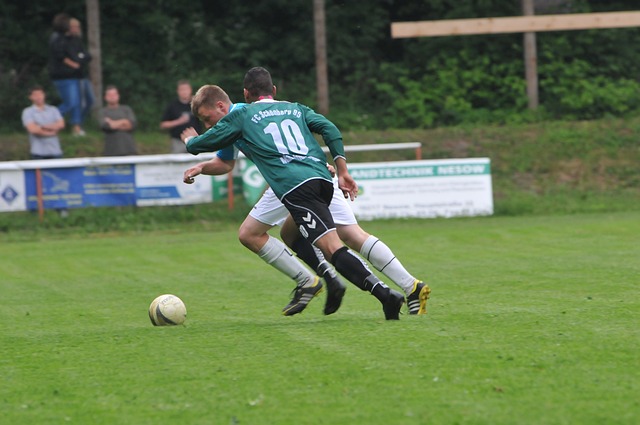 的总比分晋 的总比分晋