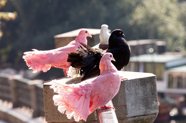在不断变化 在不断变化